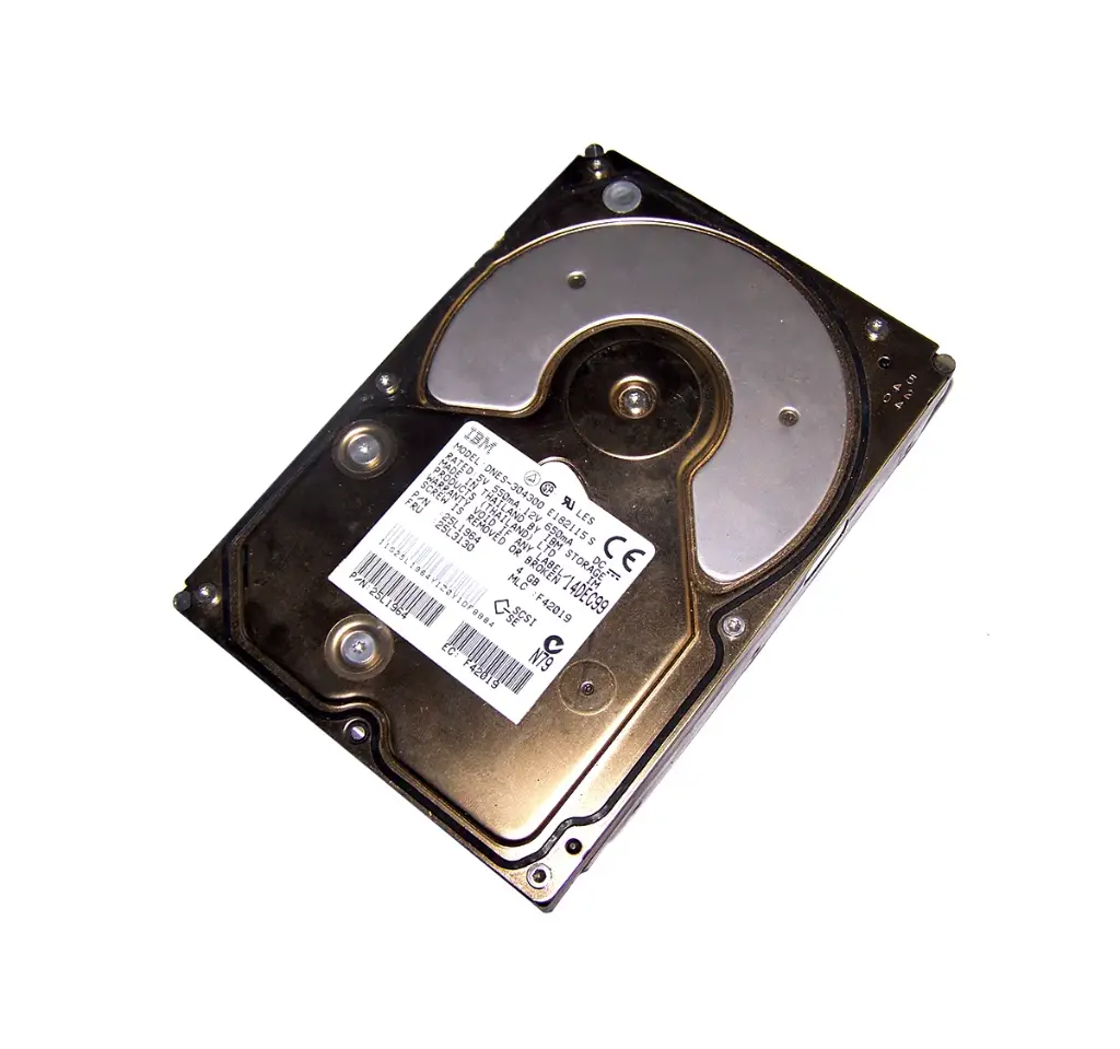 6607 4,19 GB Disk Unit